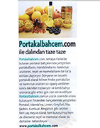 Gastronomi / Aralık 2016