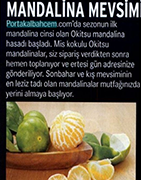 Marie Claire Türkiye / Kasım 2016