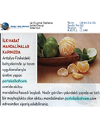 La Cucina Italiana / Kasım 2016
