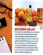 Şamdan Plus/ Kasım 2016