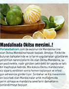 Yemek Zevki/ Kasım 2016