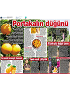 Habertürk Magazin / Ocak 2017