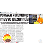 Antalya Körfez / Şubat 2017