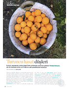 Food and Travel / Şubat 2017
