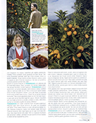 Food and Travel / Şubat 2017