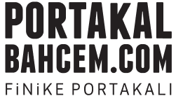 Finport Finike Portakalı Tarım Ürünleri Gıda Bilişim Pazarlama Dış Ticaret Limited Şirketi