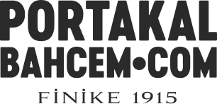 Finport Finike Portakalı Tarım Ürünleri Gıda Bilişim Pazarlama Dış Ticaret Limited Şirketi