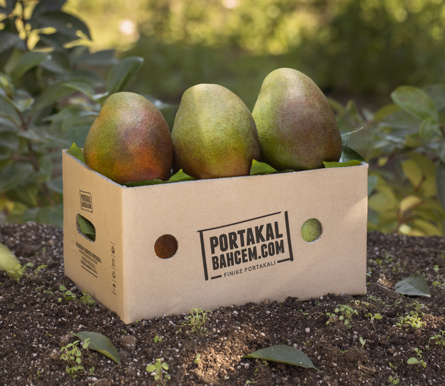 Finike'den Tropik Meyveler